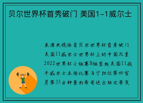 贝尔世界杯首秀破门 美国1-1威尔士