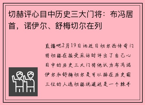 切赫评心目中历史三大门将：布冯居首，诺伊尔、舒梅切尔在列